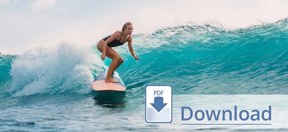 PDF-Download
