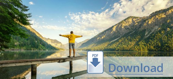 PDF-Download